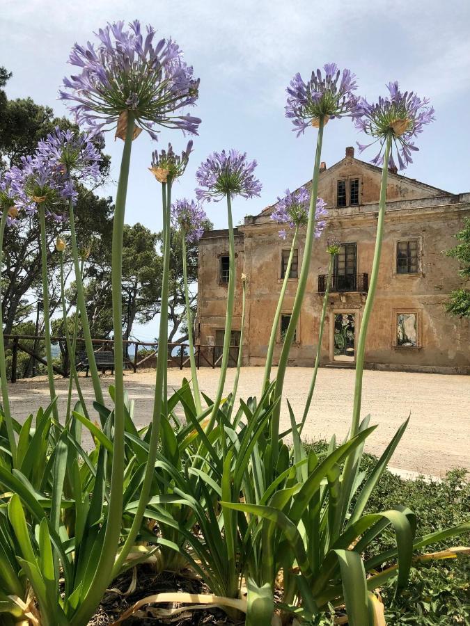Aragonite Azzurra Casa Vacanza Gonnesa Εξωτερικό φωτογραφία